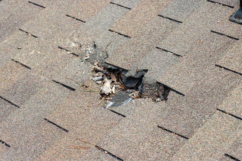 Damaged Roof Replacement in Bow, NH